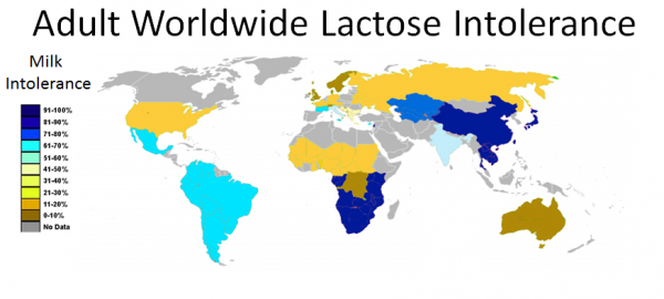 lactose intolerance - credit unis