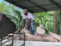 A farmer delivers cocoa beans to a processing facility in the Dominican Republic. Pic: CN